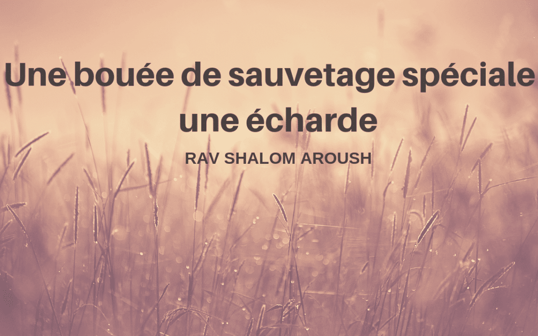 Une bouée de sauvetage spéciale une écharde