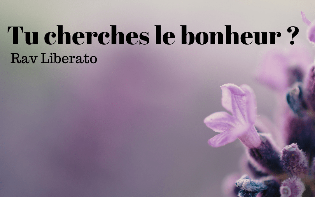 Tu cherches le bonheur?