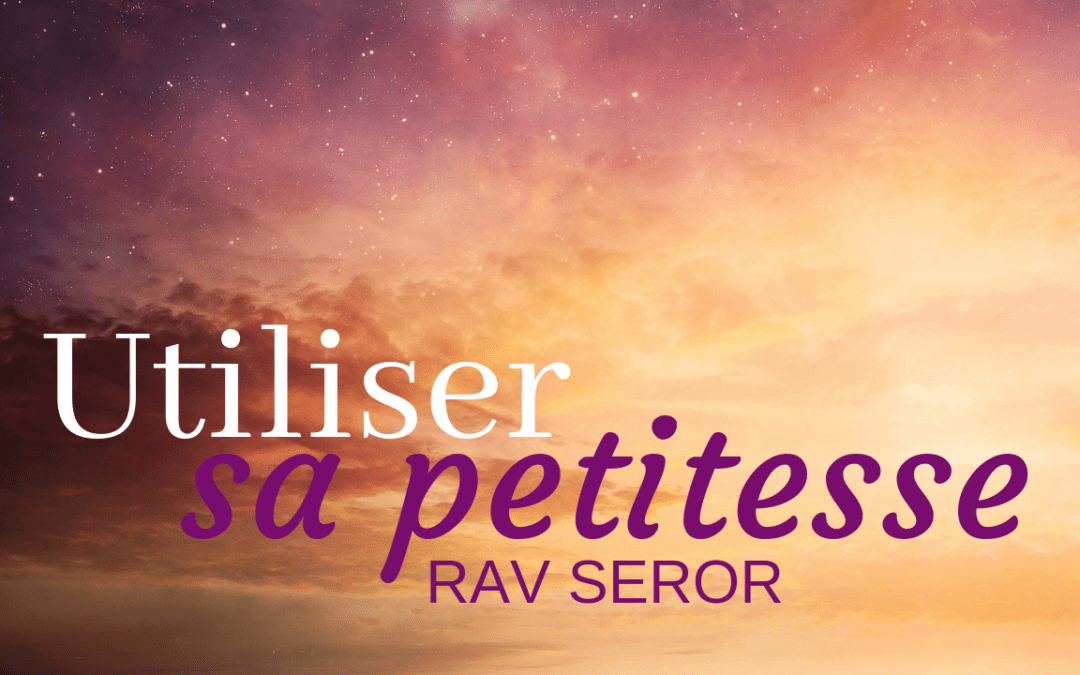 Utiliser sa petitesse