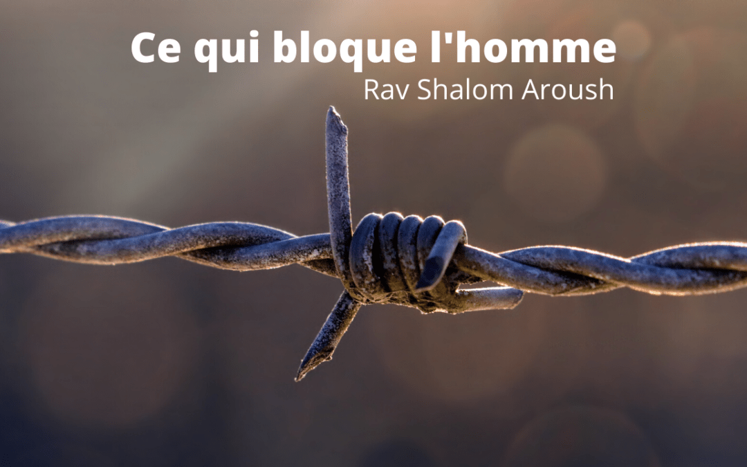 Ce qui bloque l’homme