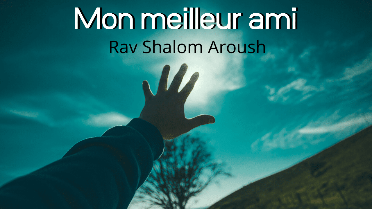 Mon Meilleur Ami Joie 2 Vivre