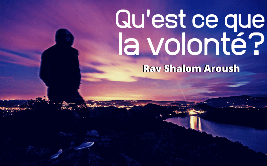 Qu’est ce que la volonté