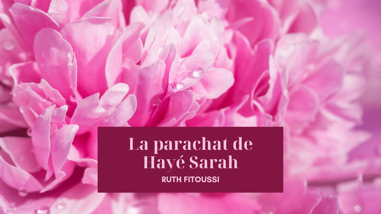 La parachat de Hayé Sarah