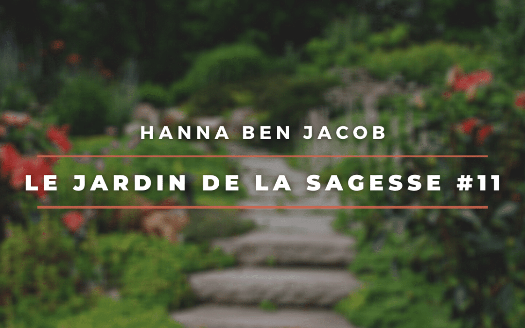 Le jardin de la sagesse 11