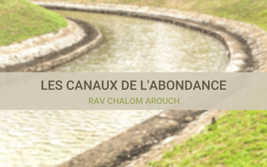 Les canaux de l’abondance