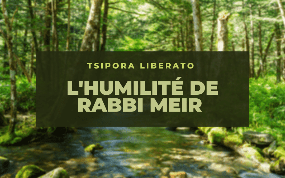 L’humilité de Rabbi Meir
