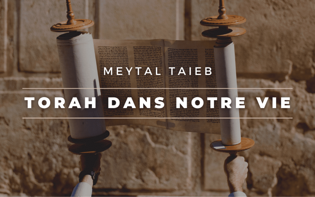 Torah dans notre vie