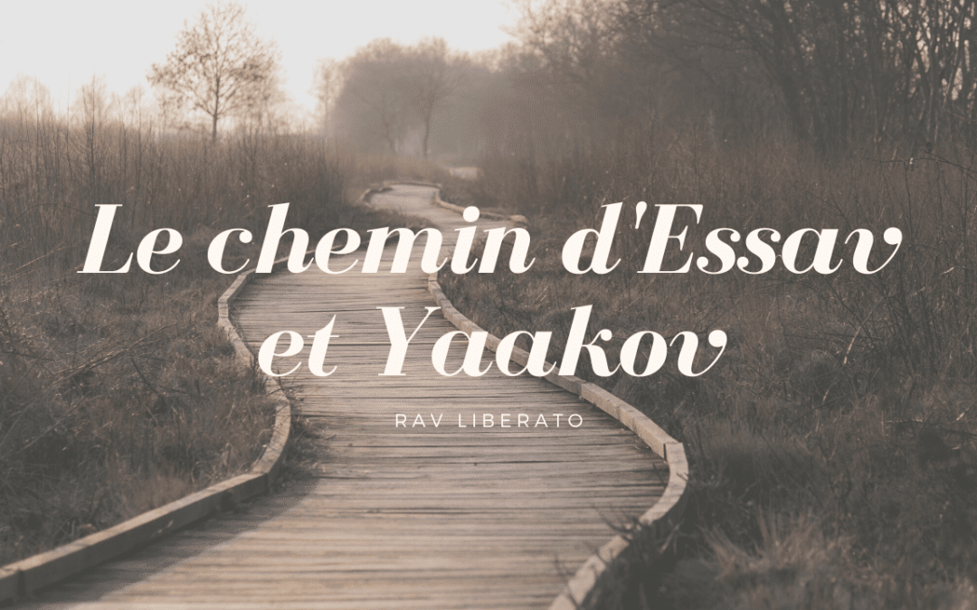 Le chemin d’Essav et Yaakov