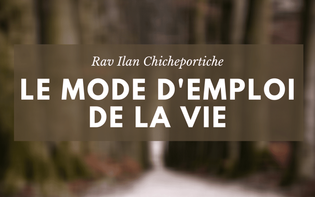 Le mode d’emploi de la vie