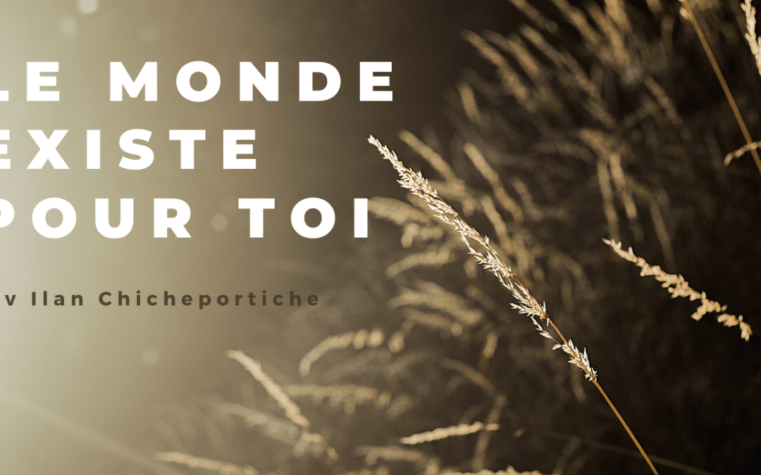 Le monde existe pour toi