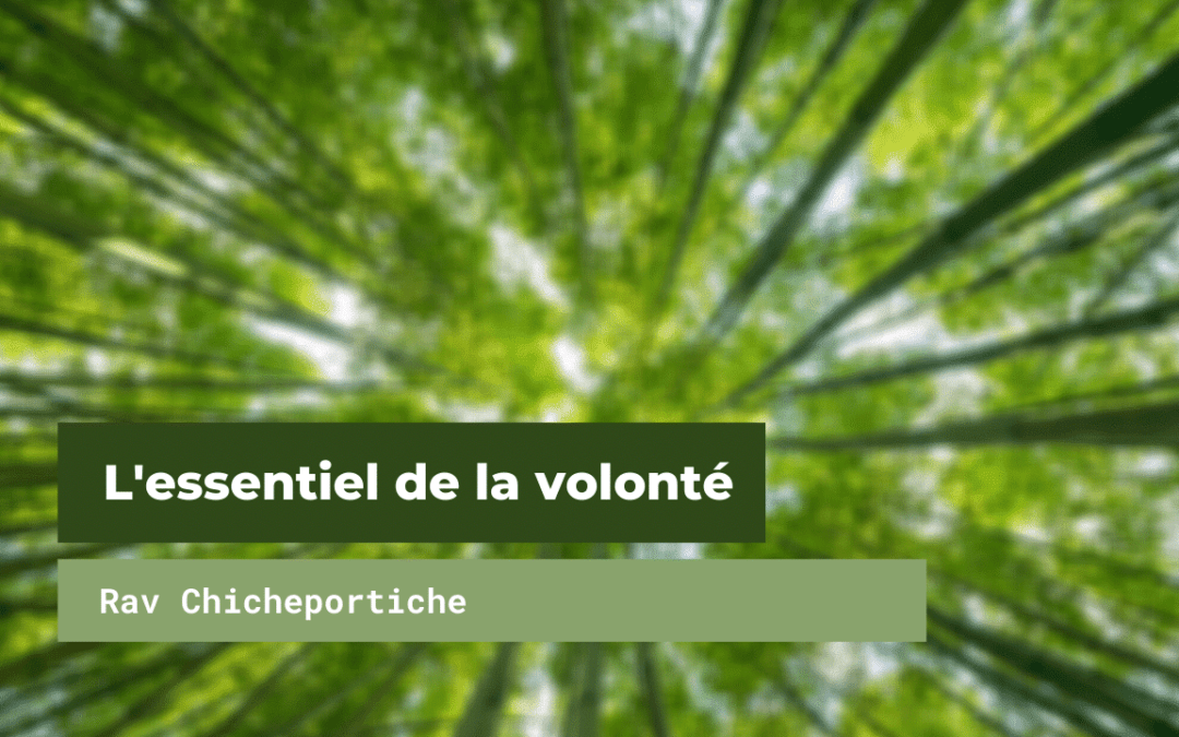 L’essentiel de la volonté