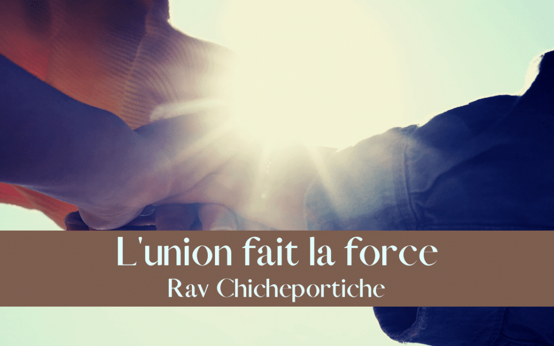 L’union fait la force