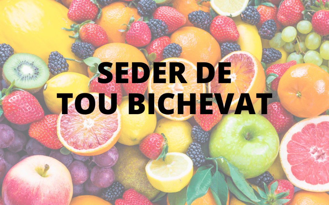 SEDER DE TOU BICHEVAT