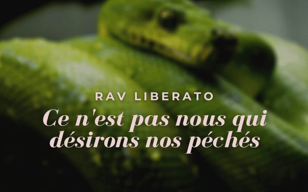 Ce n’est pas nous qui désirons nos péchés