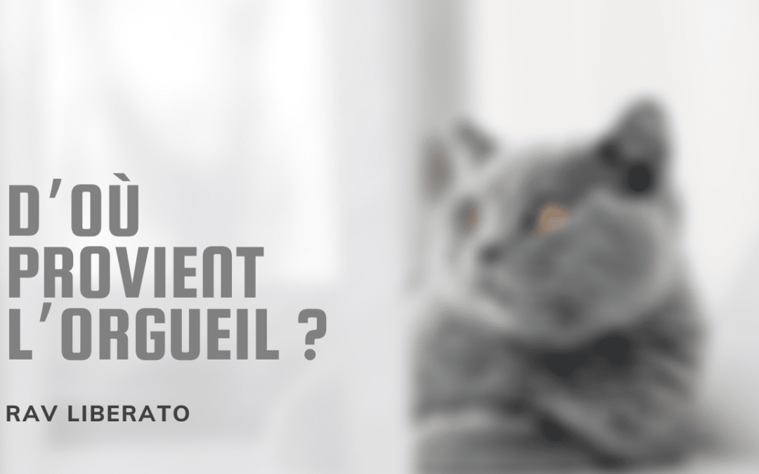 D’où provient l’orgueil ?