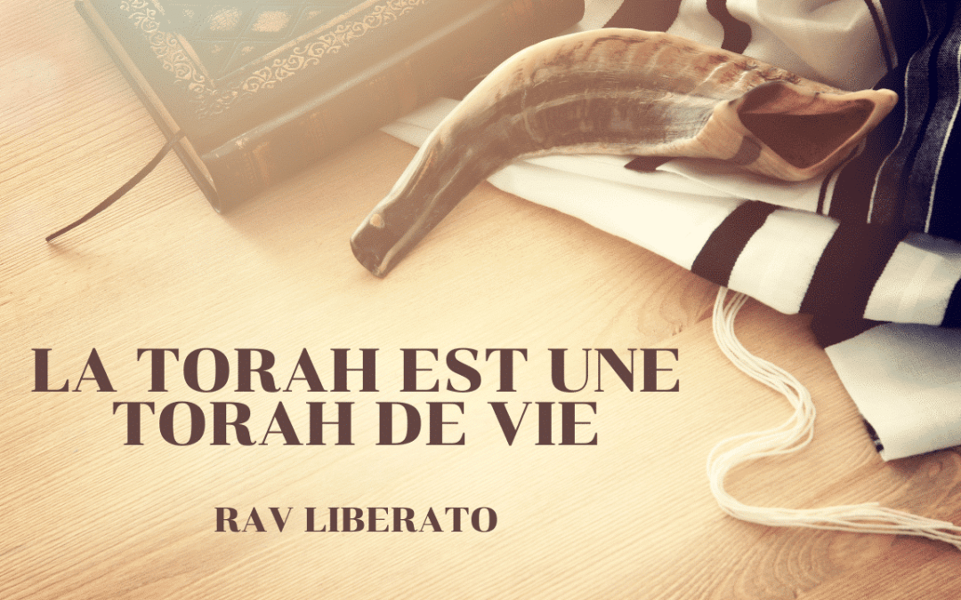 La Torah est une Torah de vie