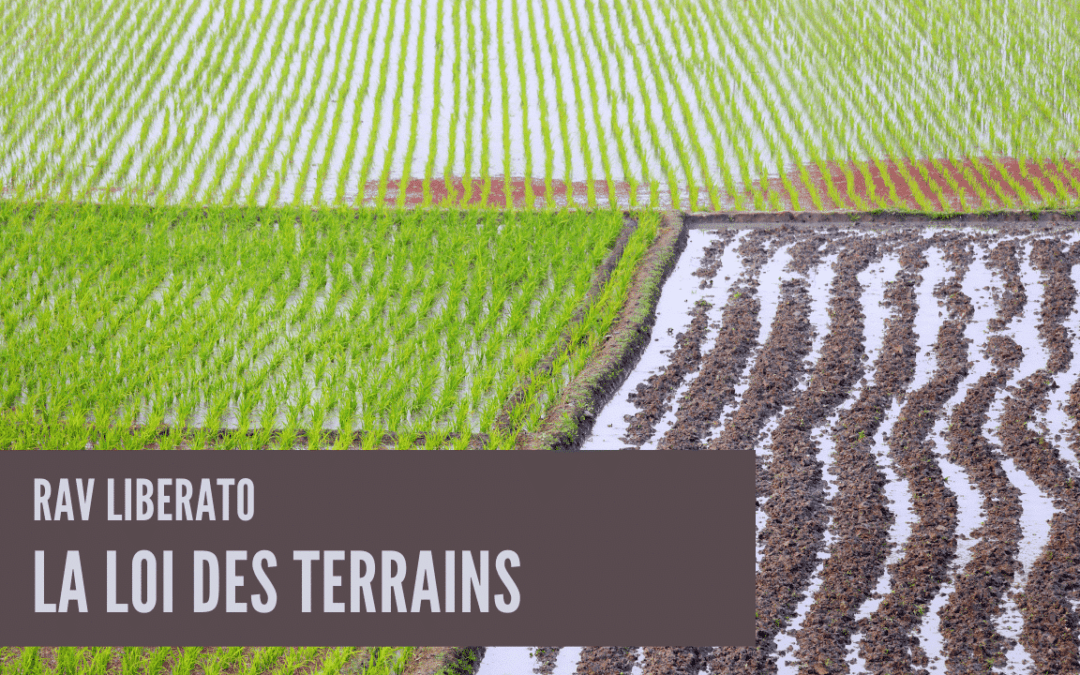 La loi des terrains