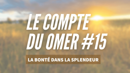 Le compte du Omer (15)