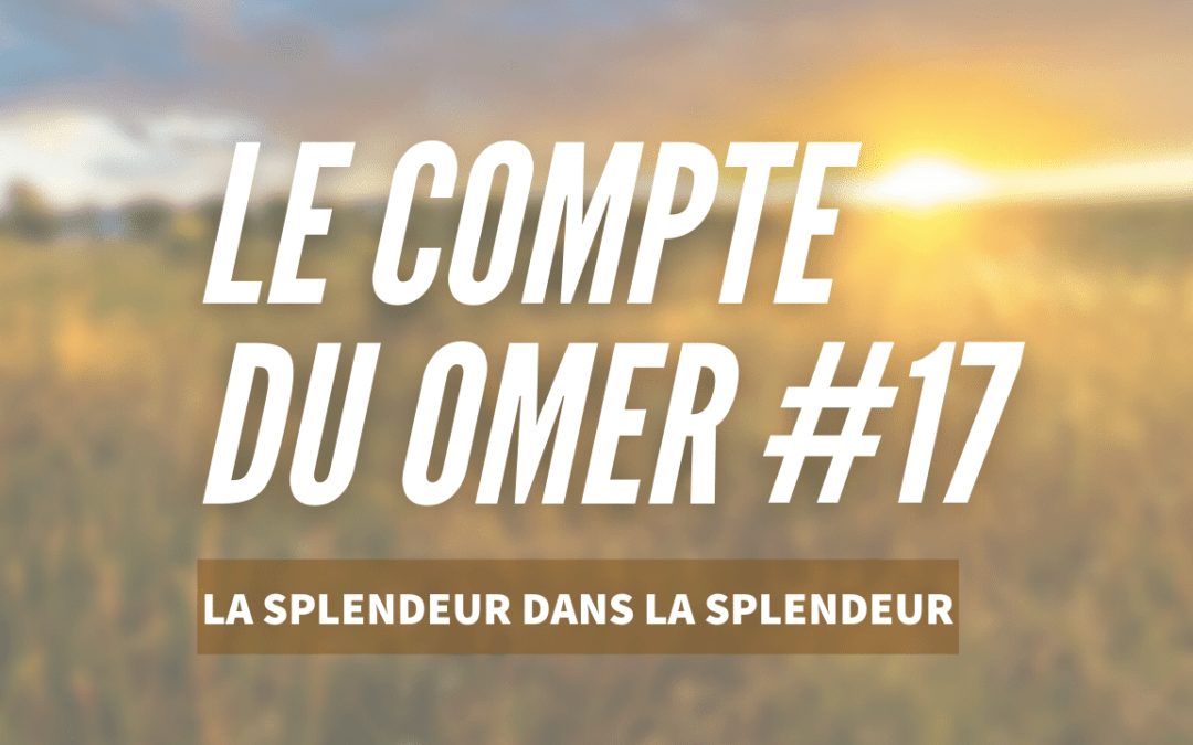 Le compte du Omer #17- la Splendeur dans la Splendeur