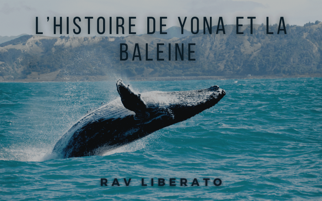 L’histoire de Yona et la baleine