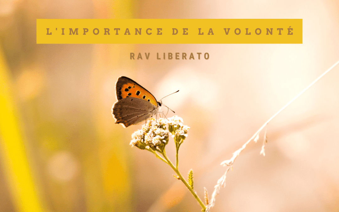 Límportance de la volonté