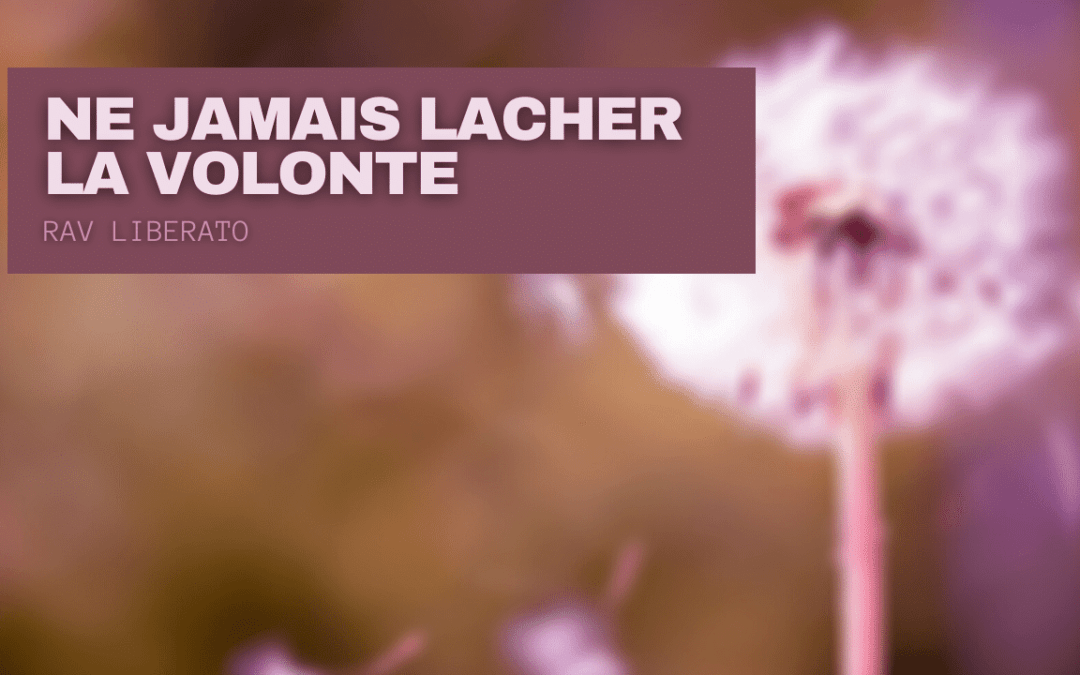 Ne jamais lâcher la volonté