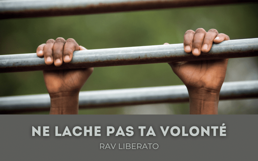 Ne lache pas ta volonté