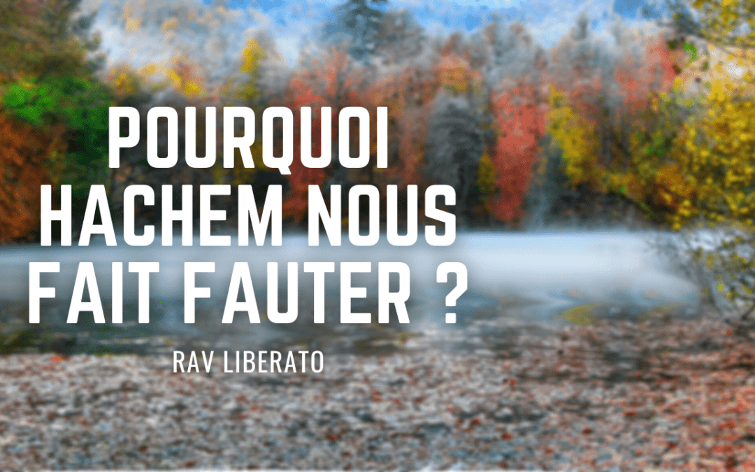 Pourquoi Hachem nous fait fauter ?