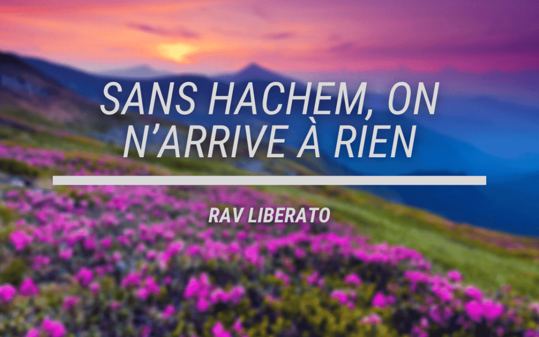 Sans Hachem, on n’arrive à rien