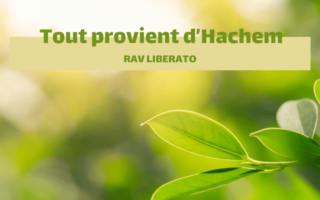 Tout provient d’Hachem