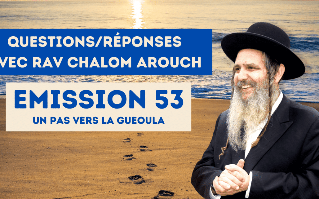 Emission 53- Un pas vers la Gueoula