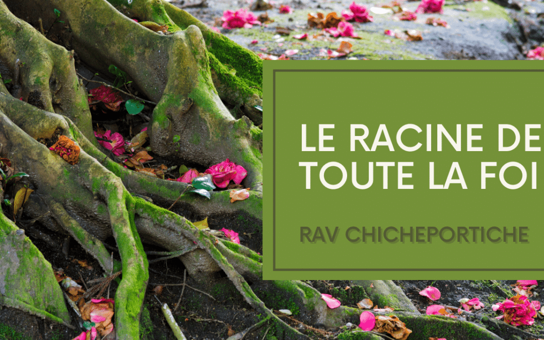 La racine de toute la foi