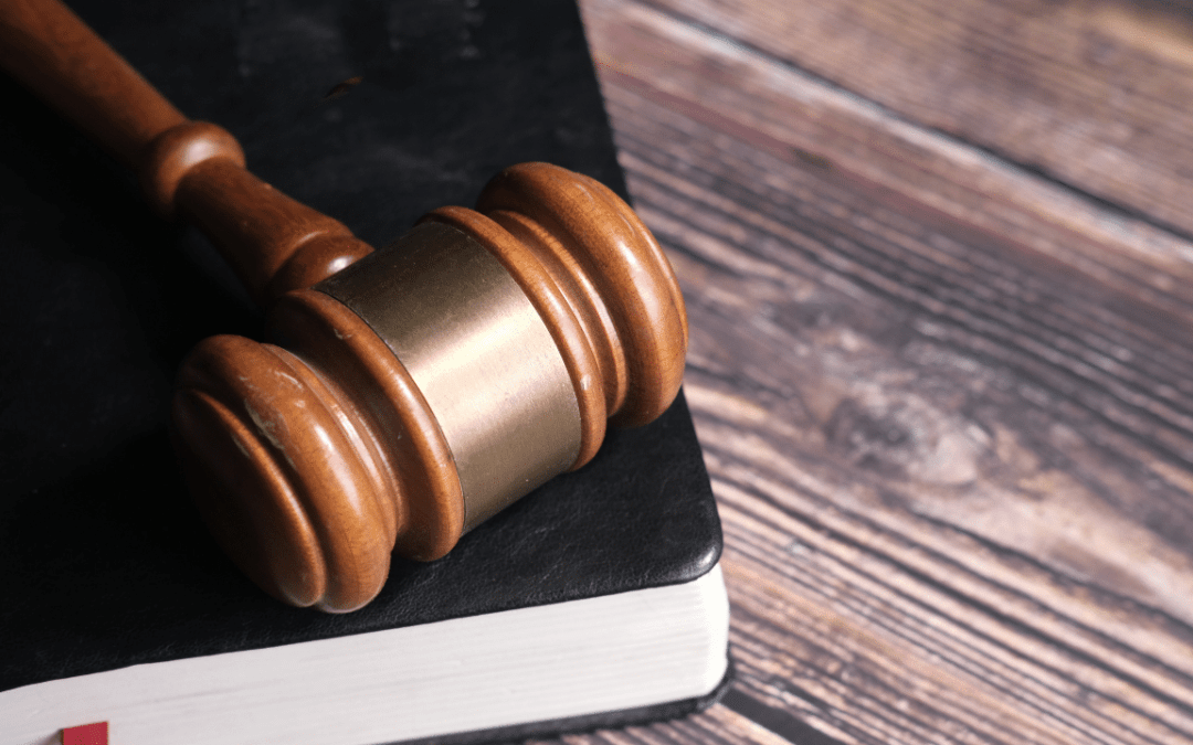 1- Qui a besoin de lois ?