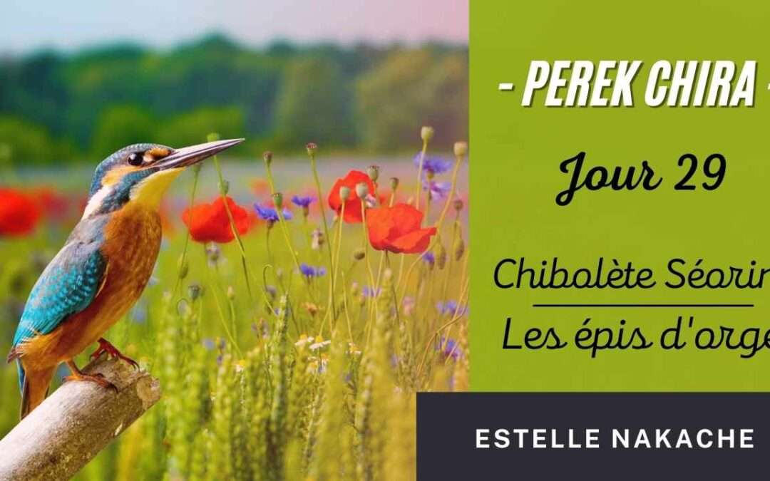 JOUR 29 – Chibolète Séorim, Les épis d’orge