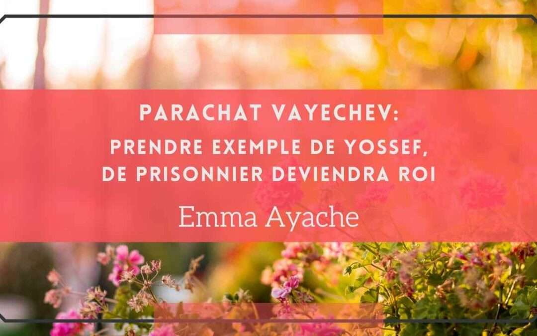 Parachat vayechev-Prendre exemple de yossef – De prisonnier deviendra roi