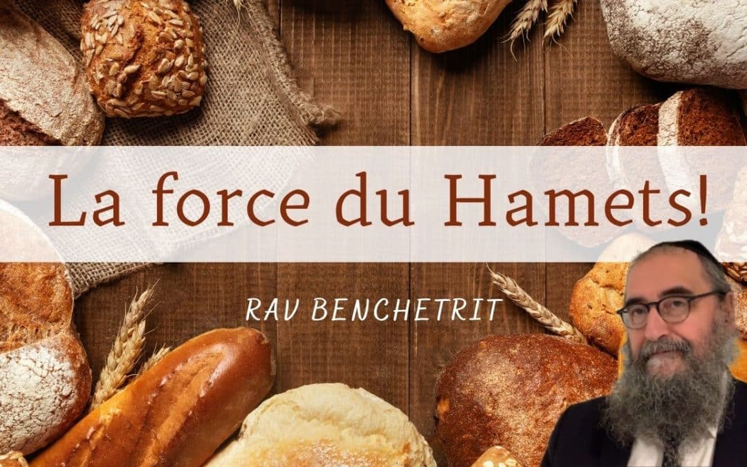 La force du Hamets ! Rav Benchetrit