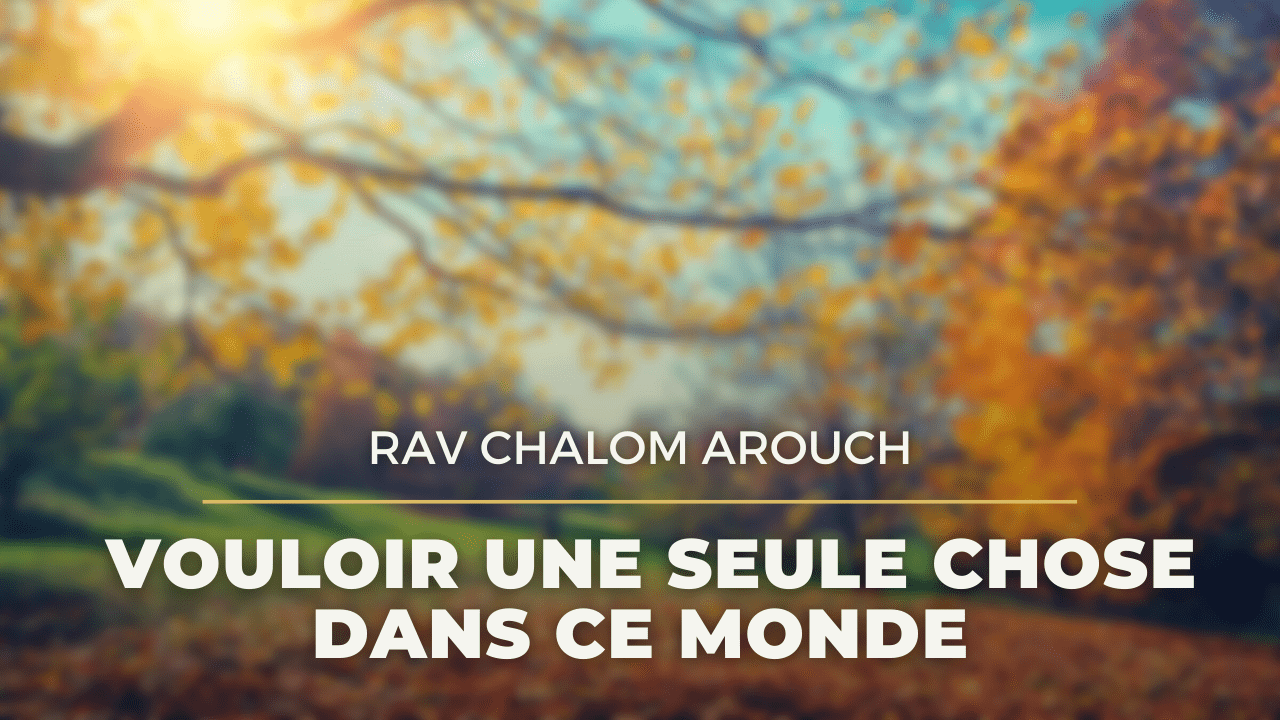 Vouloir une seule chose dans ce monde - Joie 2 Vivre