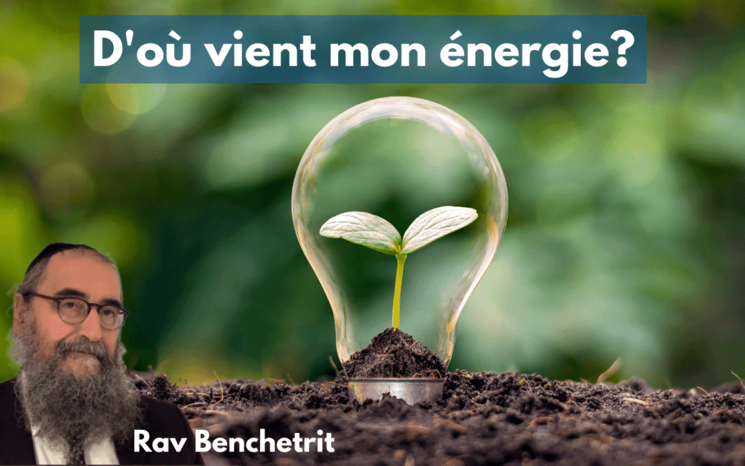 D’où vient mon énergie?