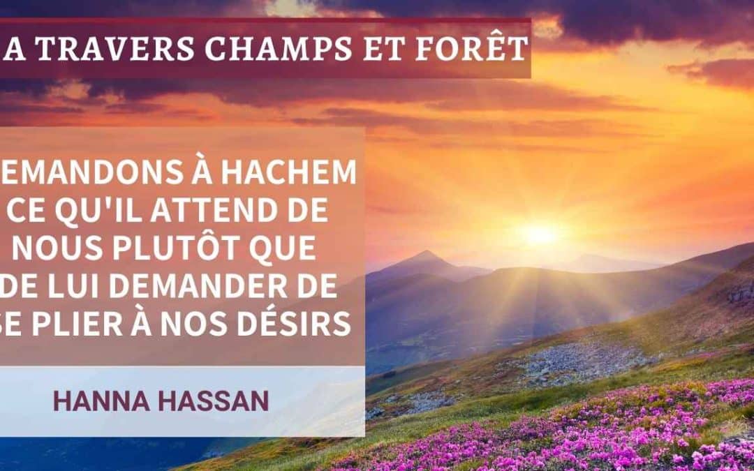 A travers champs et forêt 54-Demandons à H-achem ce qu’Il attend de nous