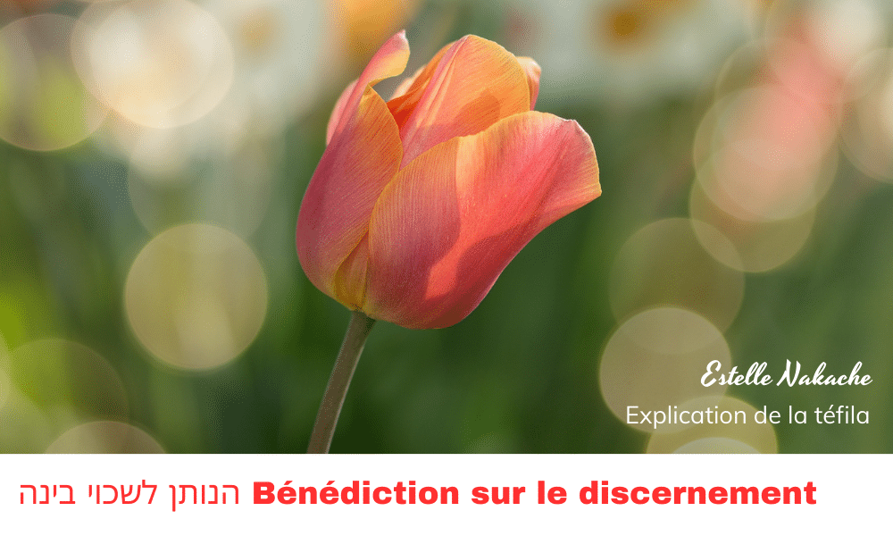 הנותן לשכוי בינה Bénédiction sur le discernement