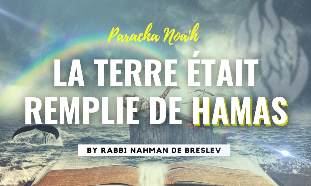 La Paracha de la semaine : Noah - Enseignements de Rabbi Nahman de Breslev- le Hamas dans la torah