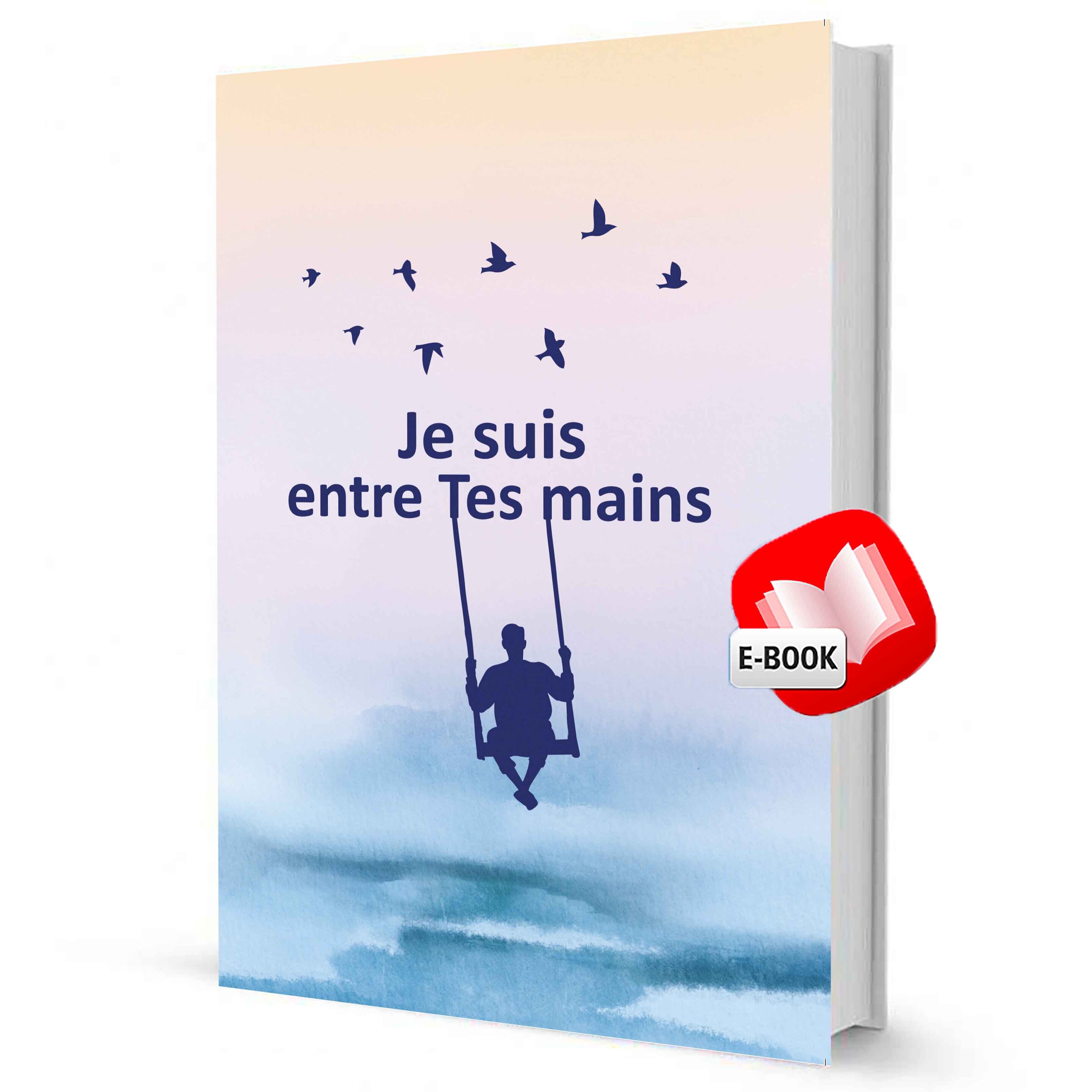 photos boutique ebook basse qualité